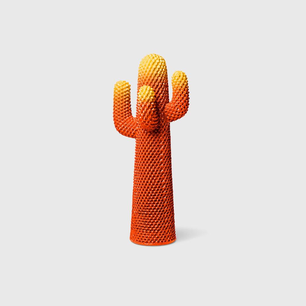 Cactus – Invisible Spectrum Accessories