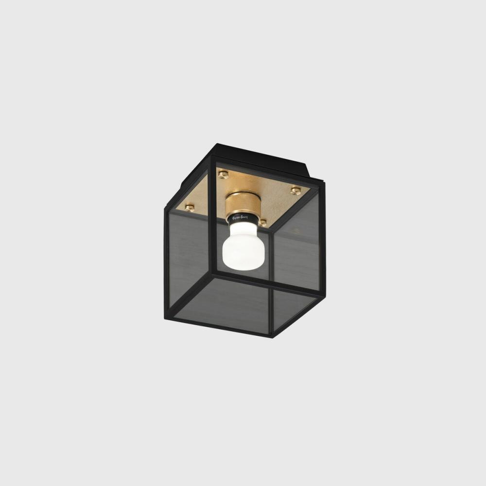 Caged Wet Ceiling & Wall Lamp Ceiling Lights