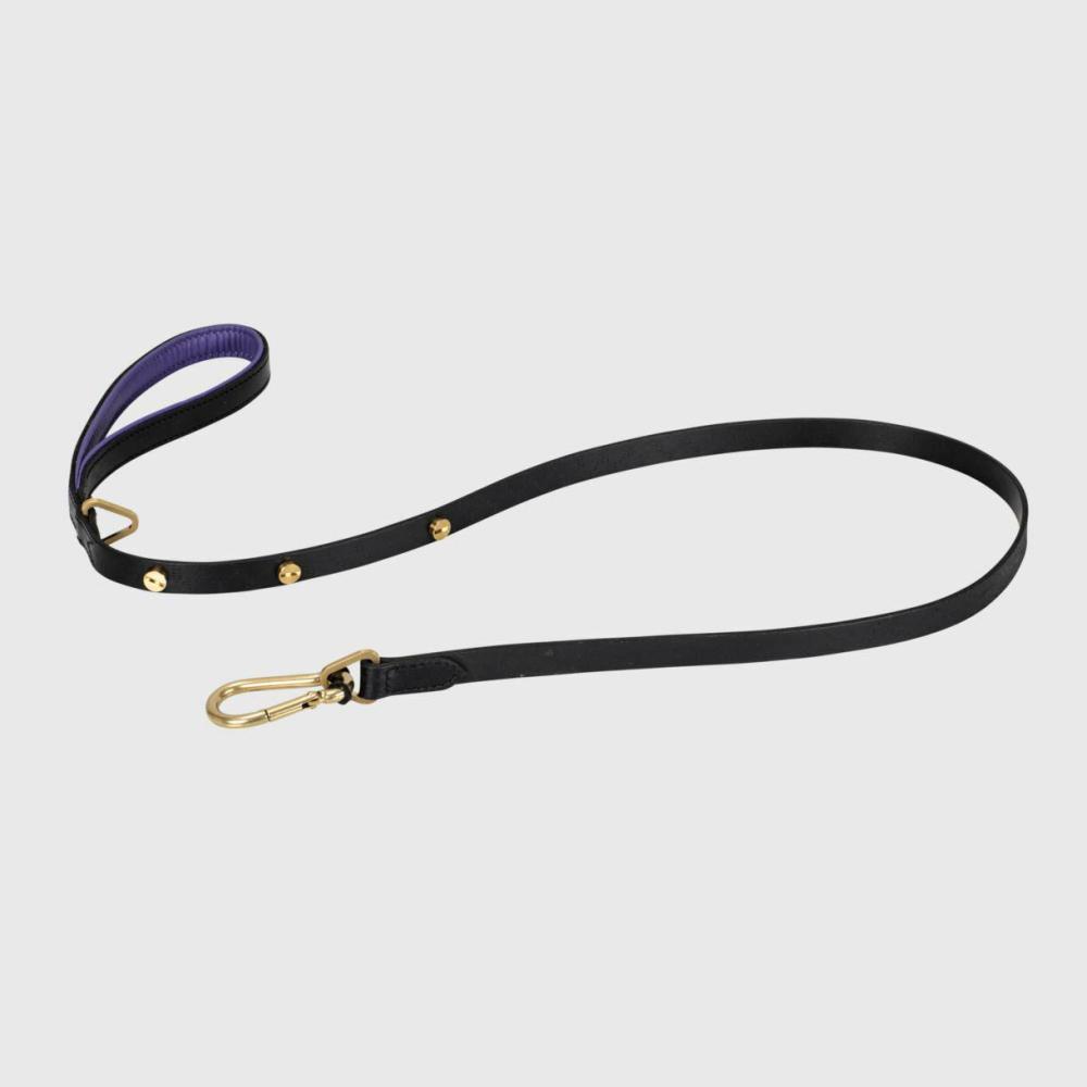 Dog Lead Accessories