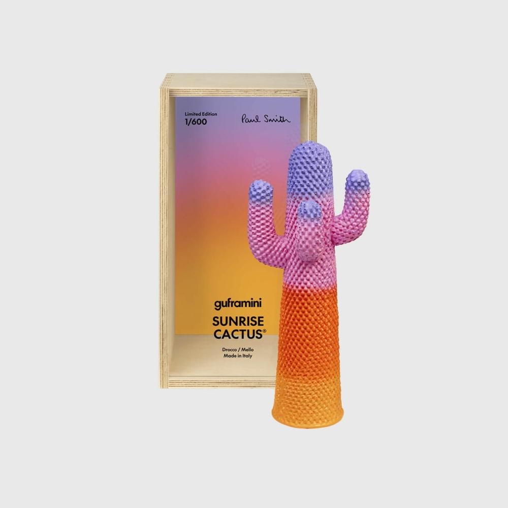 Guframini Sunrise Cactus Accessories