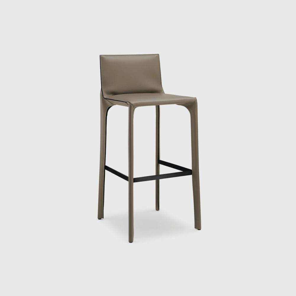 Saddle Stool With Backrest Chair