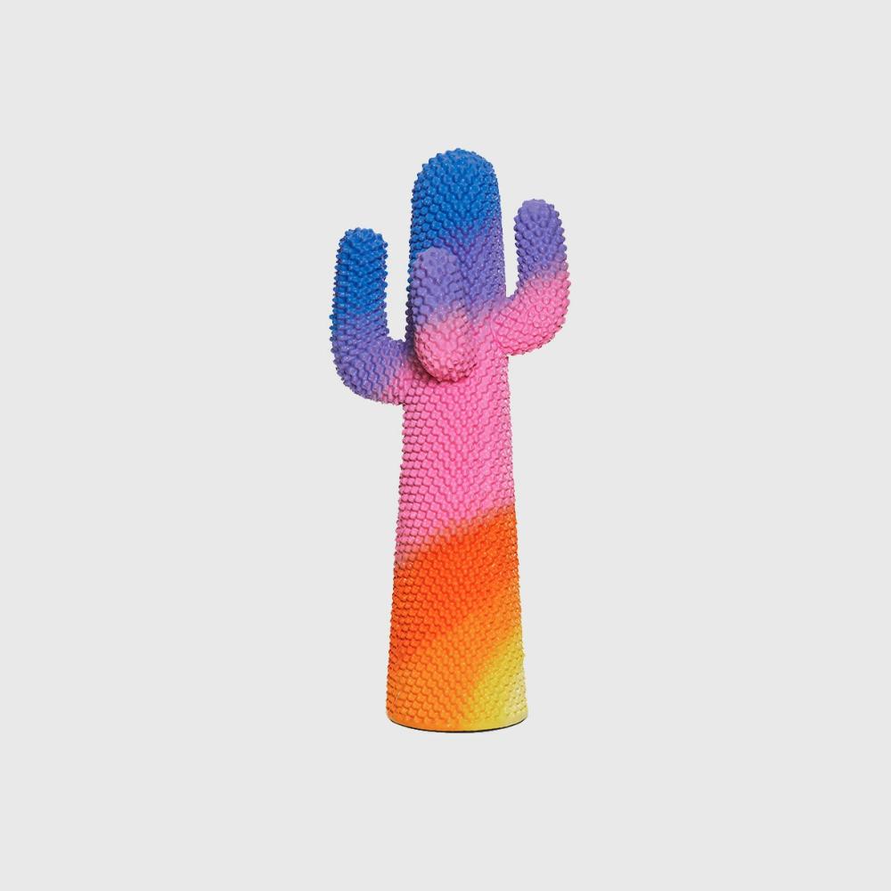 Sunrise Cactus Accessories